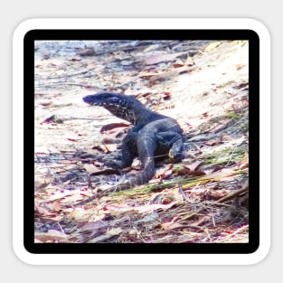 Goanna in the Bush! Sticker